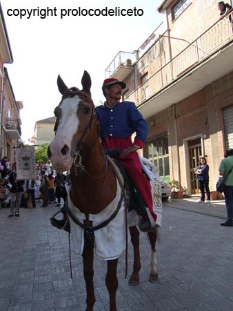 cavalcata 2011_4